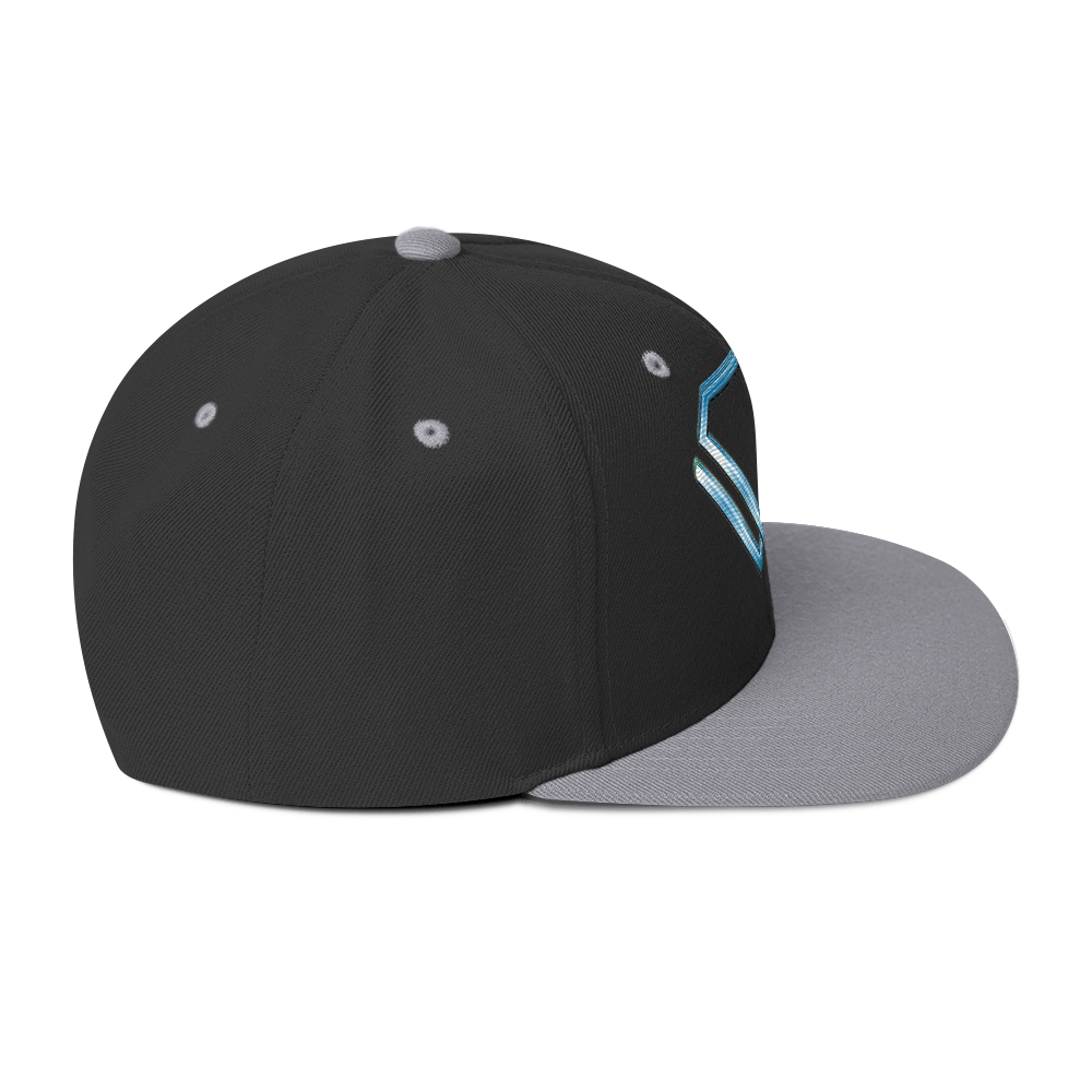 Black/Silver