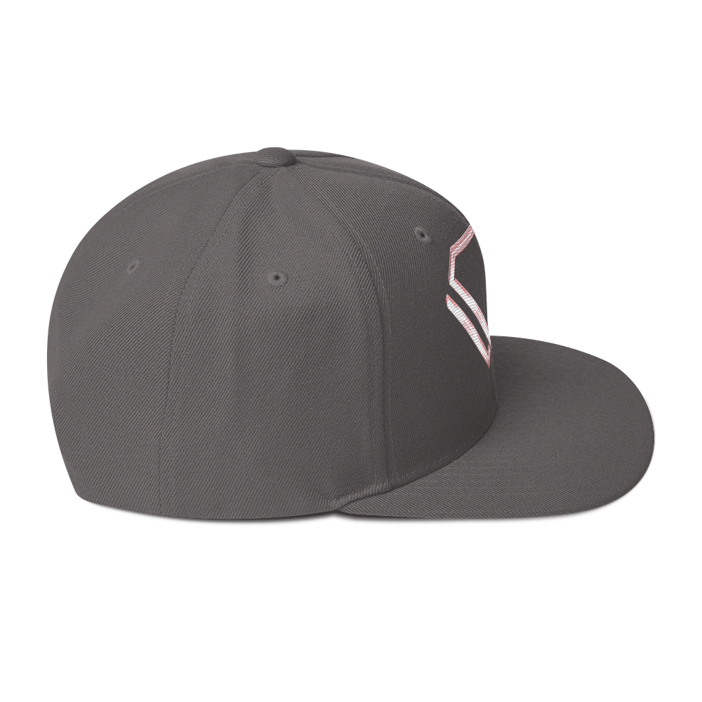 Iconic Snapback (Oink! Pink)